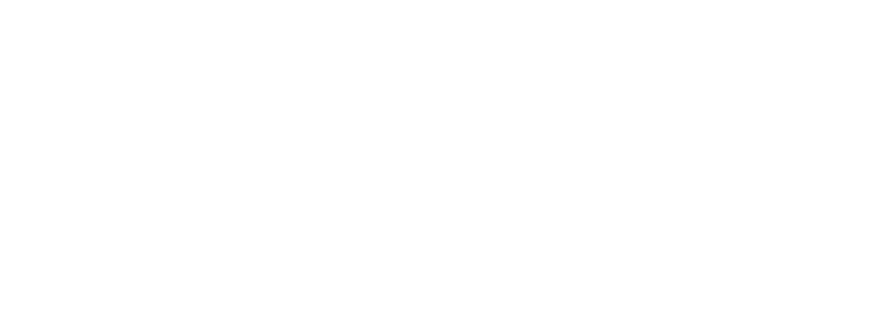 Nursing Scholars - A Noodle Solution.